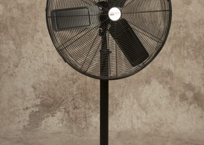 Black 30” Pedestal Fan