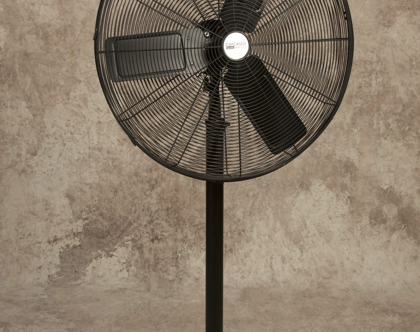 Black 30” Pedestal Fan