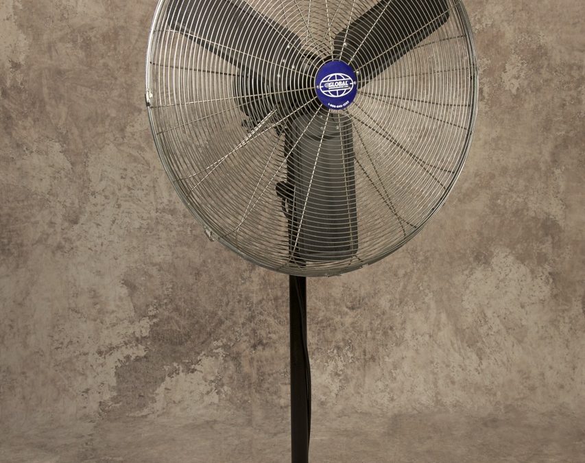 Stainless 30” Pedestal Fan